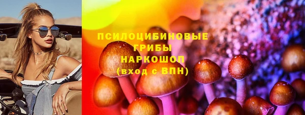 гашик Балахна